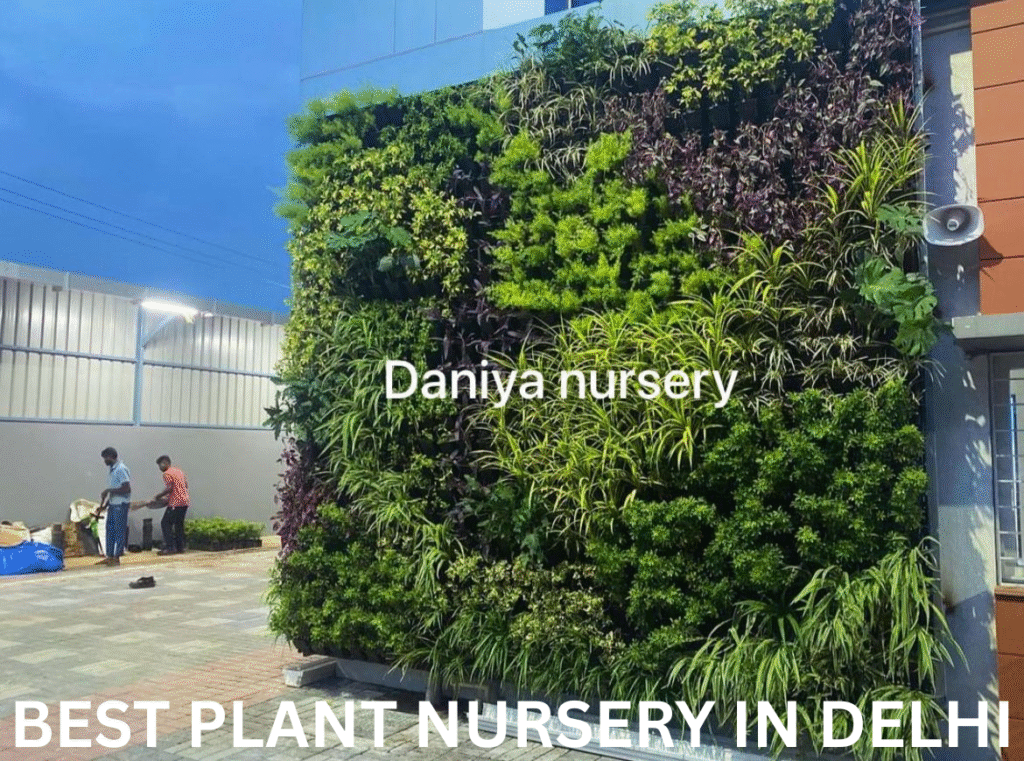 Best plant nursery in Delhi