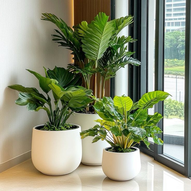 Famous Landscape in Rajasthan