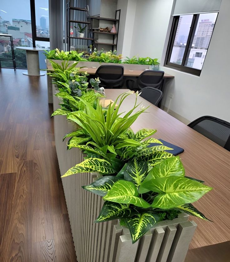 Modern office interior decorated with lush green indoor plants arranged by a professional landscaper in Gajraula.