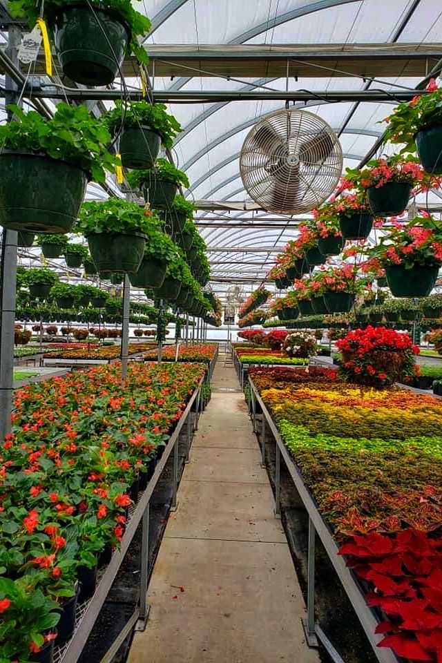 Outdoor play area with safe equipment at a trusted nursery in Delhi