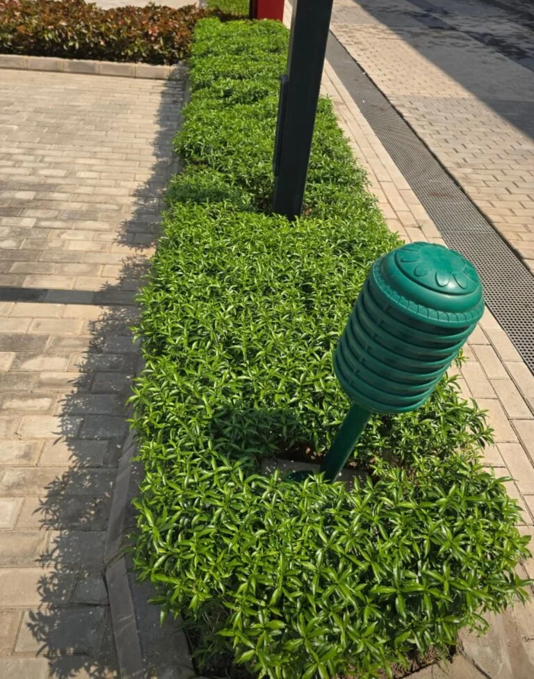 Modern indoor setup by Plant Design in Delhi experts