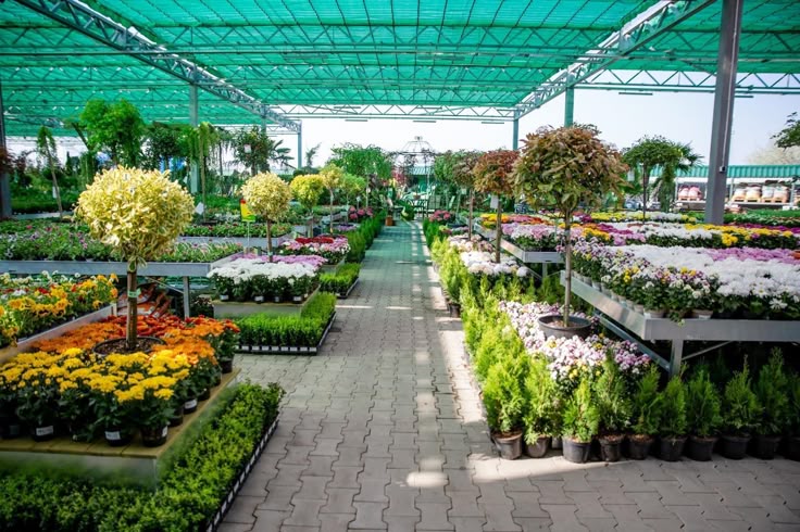 Plants Design in Greater Noida