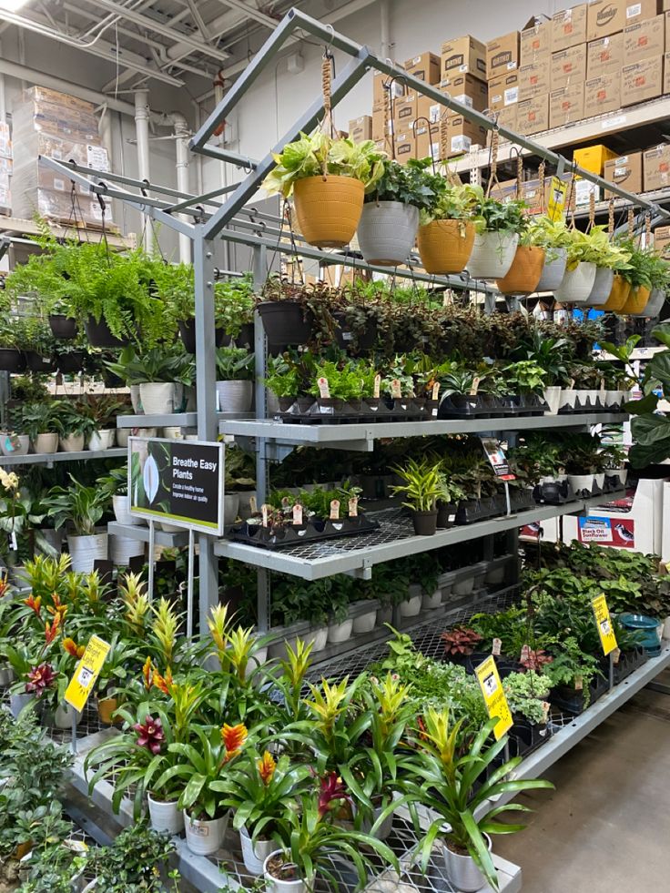 Wholesale Plants Company in Rajasthan